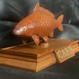 IMG_7592.jpg fish sculpture of a carp with storage space for 3d printing