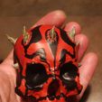 66391667_483496222404826_7560651761187291136_o.jpg Darth-Maul Skull