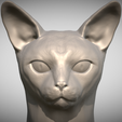 Zrzut-ekranu-2025-06-14-113327.png Abyssinian cat head for 3D printing