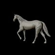 19.jpg Thoroughbred Horse model 3D print model