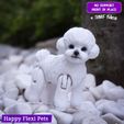 6.jpg Caniche Toy - Bichon Frise el juguete articulado realista para perro (#38)