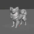 meshmixer_l49rxTPOx0.png langhaariger Chihuahua