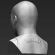 7.jpg Charles Barkley bust 3D printing ready stl obj formats