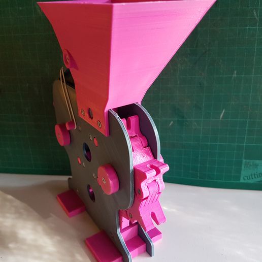 20210829_170524.jpg Cut olives before the pickling process