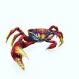 H.jpg Crab - DOWNLOAD Crab 3d Model - animated for Blender-Fbx-Unity-Maya-Unreal-C4d-3ds Max - 3D Printing Crab Crab Crab - POKÉMON - DINOSAUR
