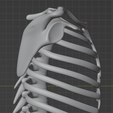 6.png 3D Model of Ribs Cage