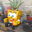 03 BOB ESPONJA MACETA.jpg SPONGEBOB POT