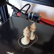 fou.jpg Chess pieces set