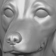 16.jpg Puppy of Dachshund dog head for 3D printing