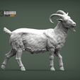 Goat-1.jpg Goat 3D print model
