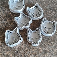IMG_20240302_102755.jpg Cookie cutters ,cats ,and dogs