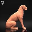 Boxer-Pose-05-Dog-3D-Print-3s.jpeg Chien Boxer Modèle imprimé en 3D Pose 05