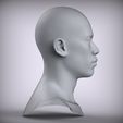 300.33.jpg 13 Male Head Sculpt 01 3D model Low-poly 3D model