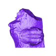 trilobite-P149623-Cut_1.stl Free STL file Trilobite (P149623)・3D printer design to download, MuseumVictoria