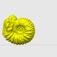 Screenshot-2024-09-10-102948.png Fossile d'ammonite