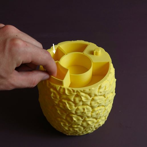 10.jpg Ananas en tranches