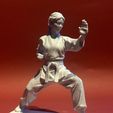 IMG_1150.jpg Karate Kämpferin in Kampfpose
