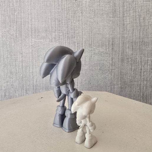 20251107_134511.jpg Sonic