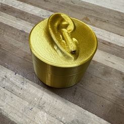 d1c7bbbd-4590-42c9-a2af-8dcbccdebad9.jpg Fichier 3D gratuit Oreille humaine avec boîte à oreillettes et couvercle・Idée pour impression 3D à télécharger