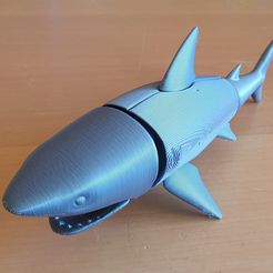 Requin pliable