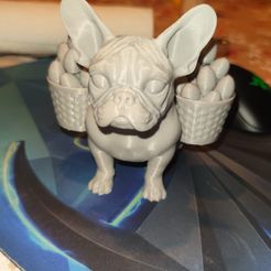 Osterbully, Französische Bulldogge