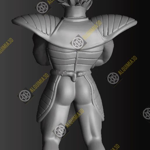 Vegeta9.jpg Vegeta (classic armor)