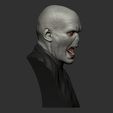 19.jpg Harry Potter - Voldemort