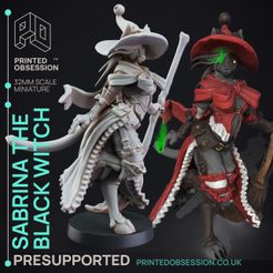 sabrina-the-black-witch-1.jpg 3D file Black Witch Tabaxi - Tabaxi Caravan - PRESUPPORTED - 32mm scale - Illustrated & Stats・3D printer design to download