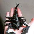 Captura-de-pantalla-2023-02-09-115154.jpg Low Poly Scorpion FLEXI
