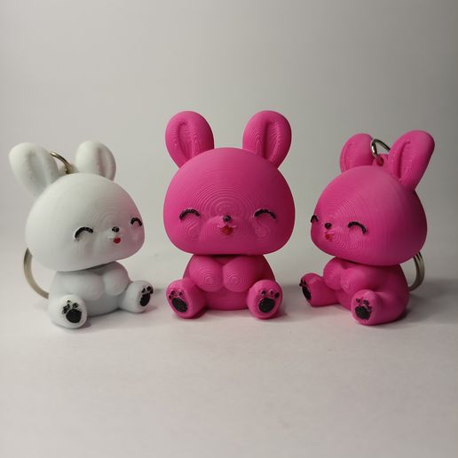 IMG20250619111227.jpg 🐰 Chibi Bunny Buddies - Modèles imprimés en 3D + Porte-clés
