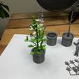 IMG_1104-1.jpg Marijuana plant model Weed 420 Stoner model kit