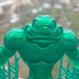 IMG_1537.JPG Battle Toads Rash