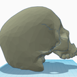 R-Side.PNG Halo Cowbell Skull