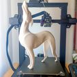 4-FOTO-IMPRESORA-1.jpg STL file PAT THE DOG - LAMP / DECO・3D printer design to download