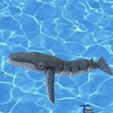 WHALE-6.jpg The Whale
