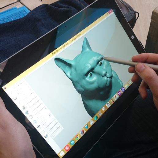 Capture_d__cran_2015-03-30___17.04.55.png Fichier STL gratuit Grumpy Cat・Design pour imprimante 3D à télécharger, leFabShop