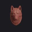husky_0001.jpg Husky Head