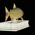 Golden-dorado-statue-12.png fish golden dorado / Salminus brasiliensis statue detailed texture for 3d printing