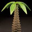 562871e87db420cb30f08aef54d1e383_display_large.jpg Free STL file Tabletop plant: Palm Tree (01)・3D printer design to download