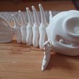 Flexi Print-in-Place Fish