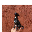 WhatsApp-Image-2026-03-11-at-20.01.png A friendly dog looking upwards.