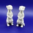 Meerkats.3d.printed.models.jpeg Sculpture de suricate