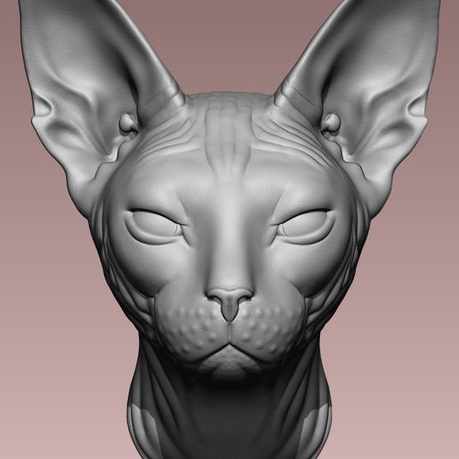 SPHYNX CAT