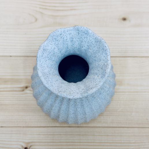 IMG_4243.jpeg Tulip Vase