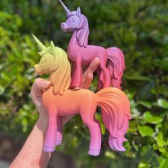 IMG_0659.jpg Fichier STL Copain licorne・Plan imprimable en 3D à télécharger