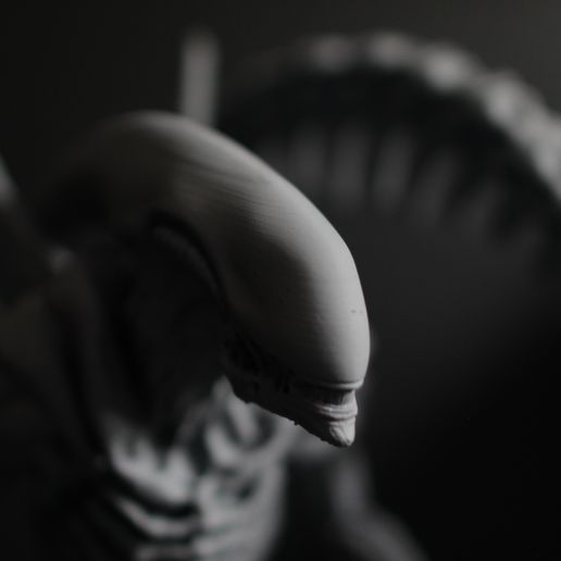 IMG_9744.jpg Alien Xenomorph Scout 3D Print Model 3D print model