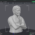 Pergolini3mf-1.png Mario Pergolini printable bust