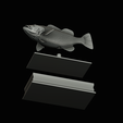 Peacock-Bass-statue-box-1-2-14.png fish Peacock bass (Cichla ocellaris) fish in motion base box for 3D printing