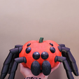 1000019249.png Spinne Kürbis Halloween Dekoration - Niedlich gruselig kawaii