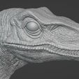 Captura-de-pantalla-2023-06-18-203819.jpg Bust Velociraptor JP1 : Jurassic Park : Dinosaur